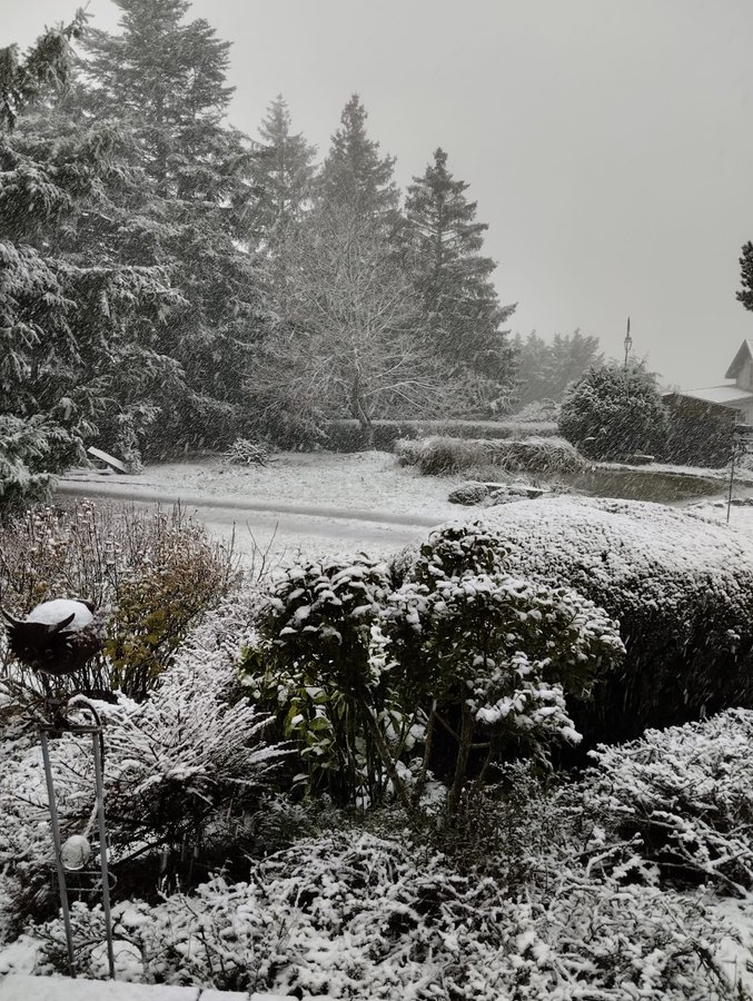 CEST JUSTE MAGIQUE LES PREMIERS FLOCONS DE NEIGE SONT TOMBÉS DANS